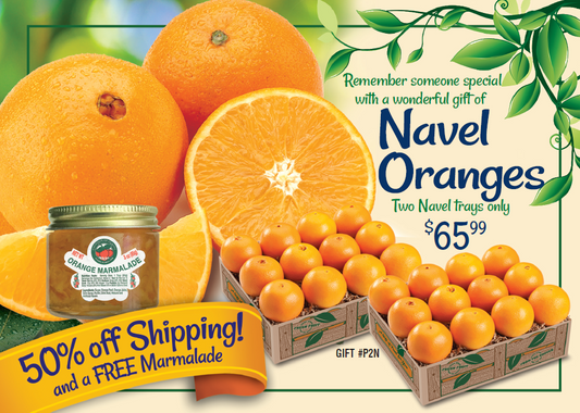 Navel Oranges, 2 Tray Special + 50% off Shipping and Free Orange Marmalade