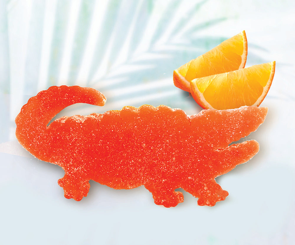 Jelly Gator Gift