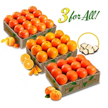 3 For All