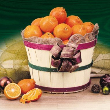 Honeybell Grove Basket - All Honeybells