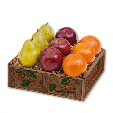 Orchard Taster