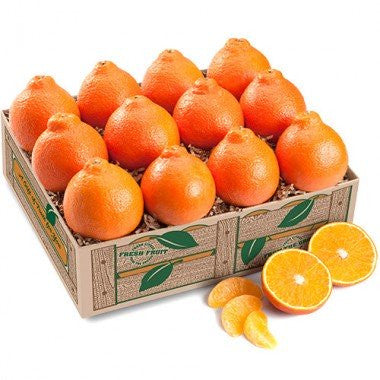 Honeybells - 2 Gift Trays: Special Offer