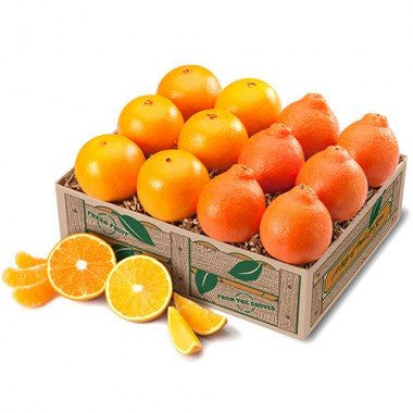 Honeybells and Navels - 1 Gift Tray